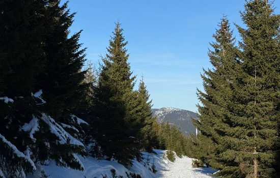 červenohorské sedlo trasa