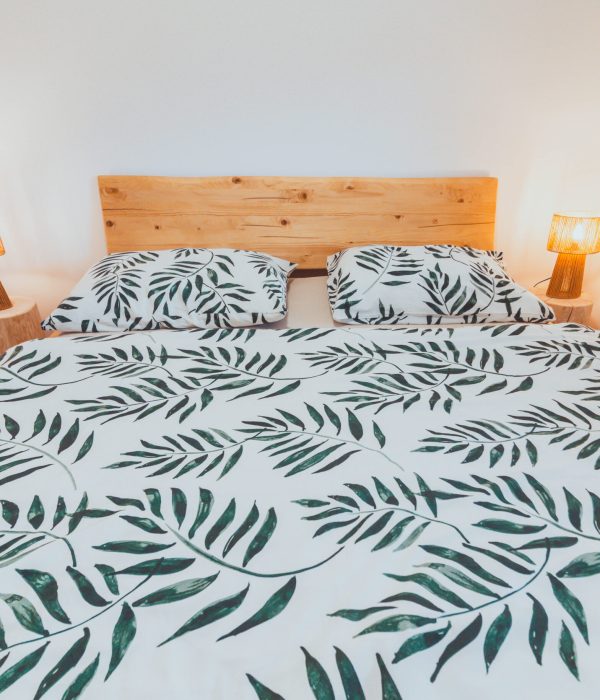 Pokoj č. 1 s vlastní koupelnou v Rychlebkách