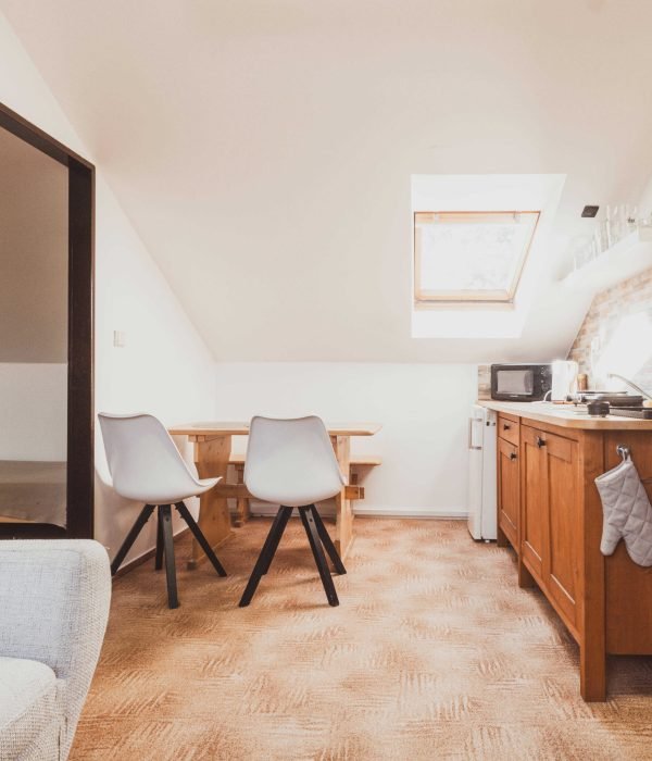 Apartmán s kuchyňkou v Rychlebských horách